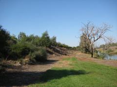 Below Bocce - Before planting